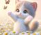 猫1